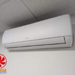 WhatsApp Image 2026-04-03 at 11.57.54 AM